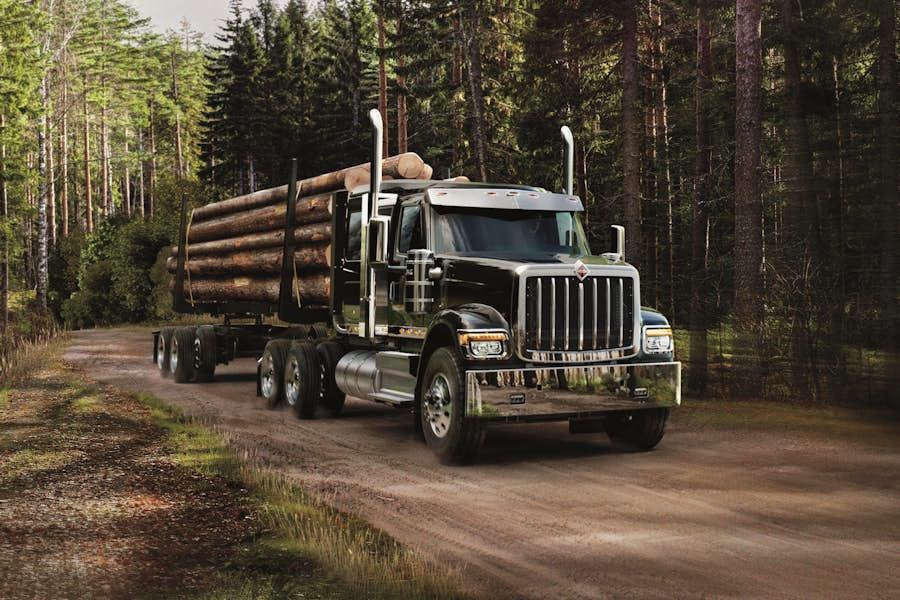 A truck with logs on the side of the road