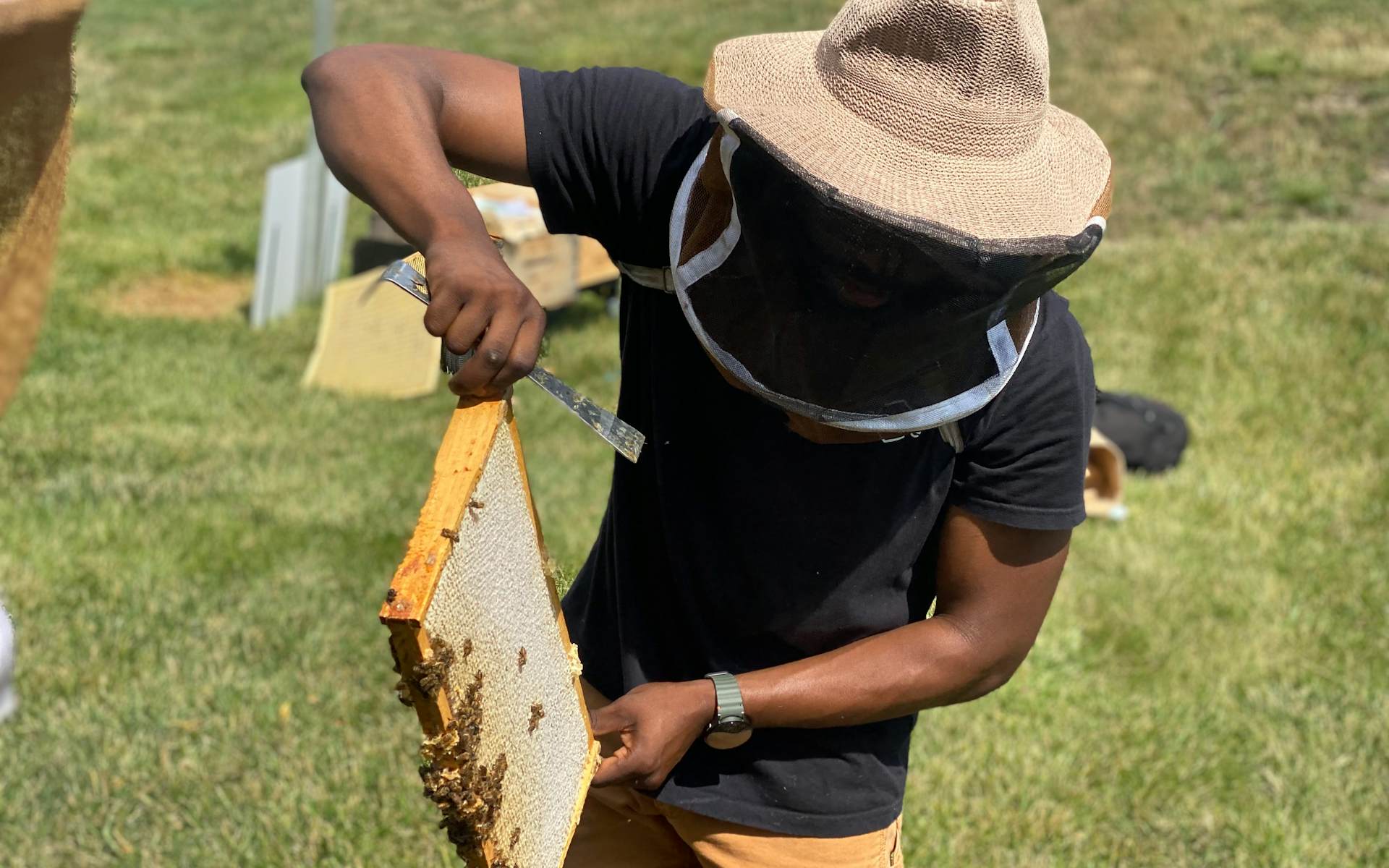 Employee beekeeper